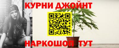 прущие грибы Пушкино