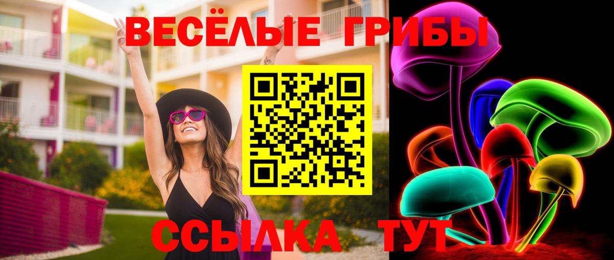 хочу   Галлюциногенные грибы мухоморы  Вход с VPN  Саянск  Псилоцибиновые грибы MAGIC MUSHROOMS 